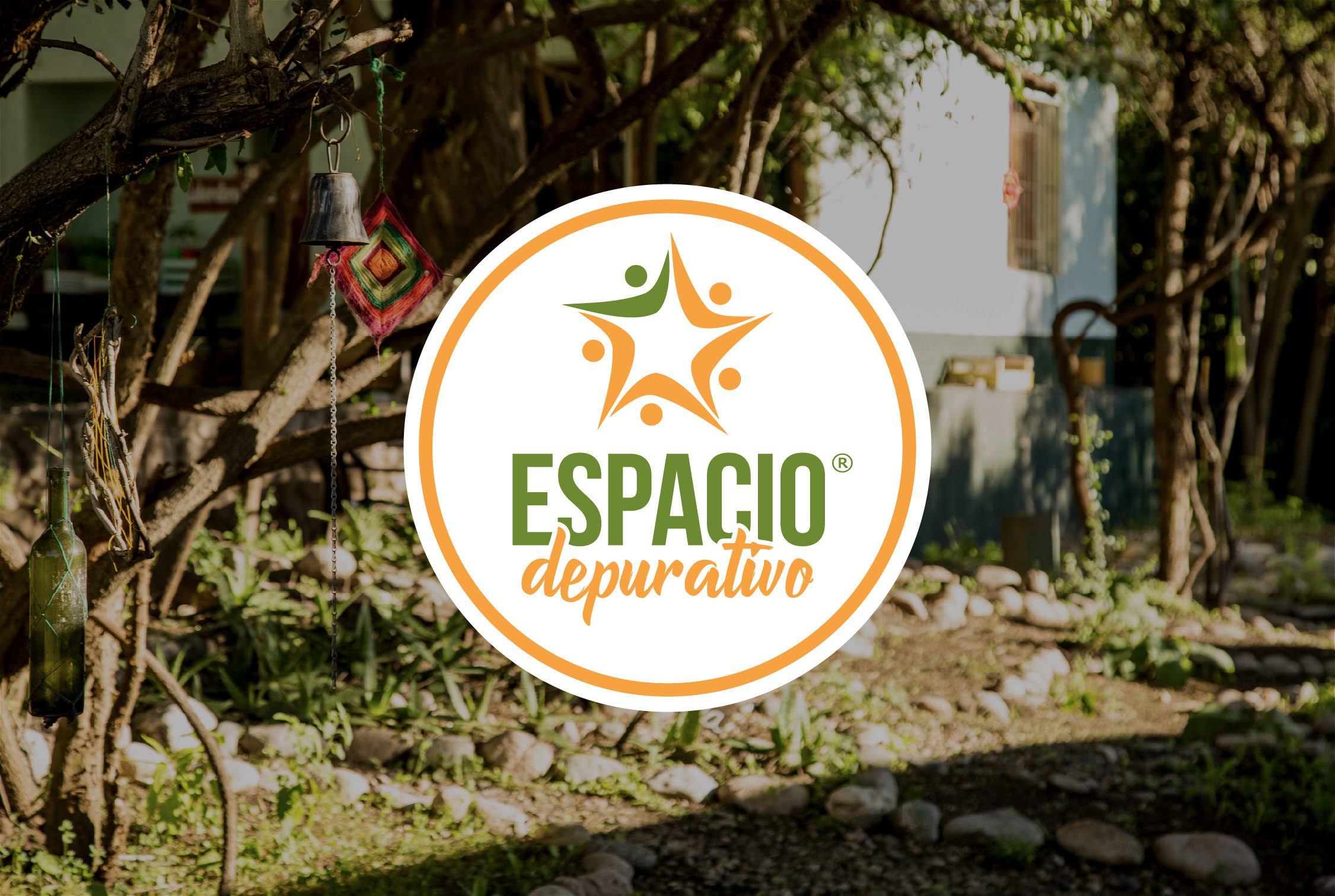 Elementos del proceso depurativo - jugos verdes, hierbas y elementos naturales