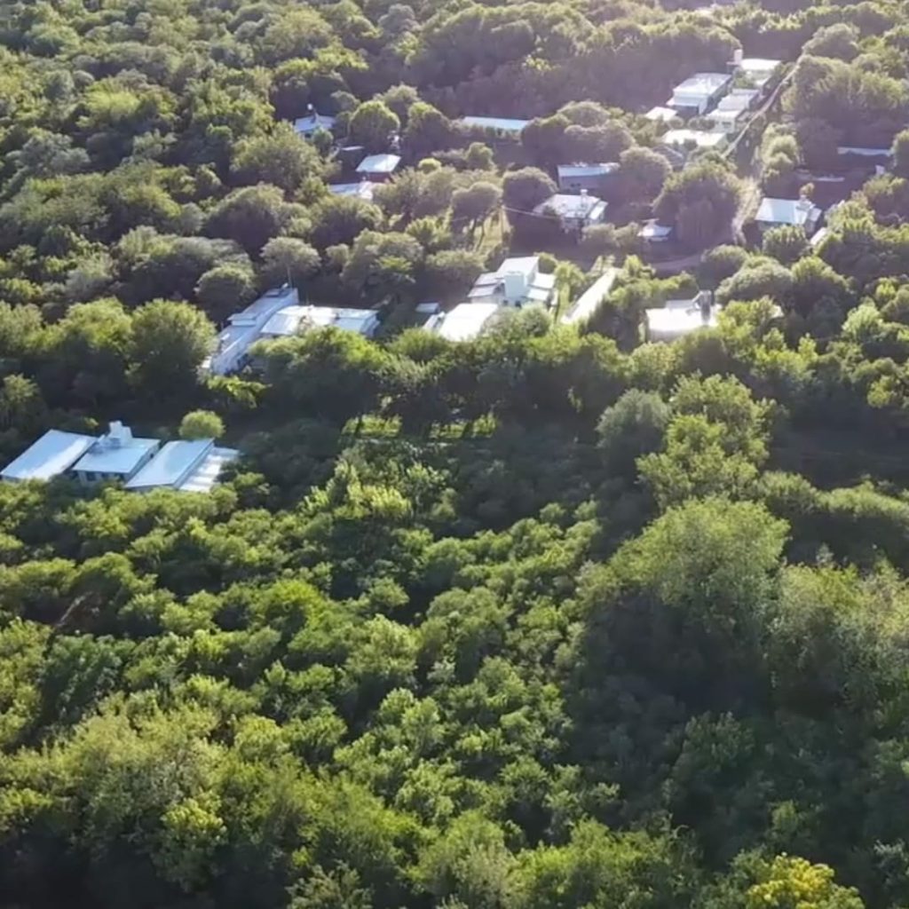 Espacio Depurativo 1